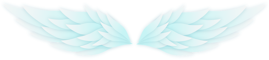 Wings Icon